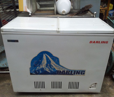 Thanh Lý Tủ đông Darling
